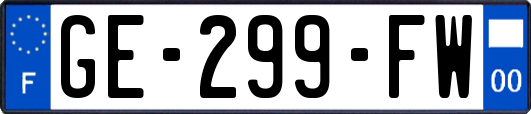 GE-299-FW