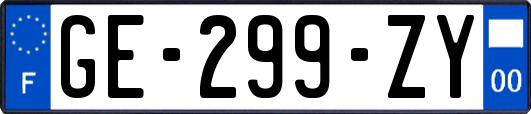 GE-299-ZY