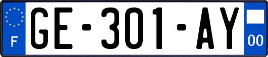 GE-301-AY