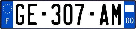 GE-307-AM