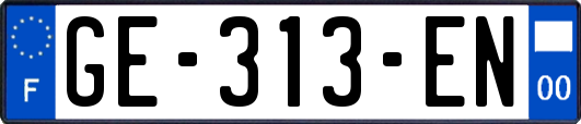 GE-313-EN