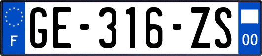 GE-316-ZS
