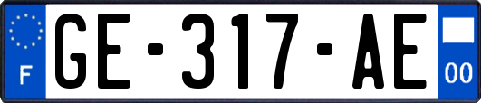 GE-317-AE