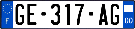 GE-317-AG