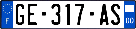 GE-317-AS