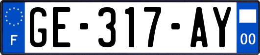 GE-317-AY