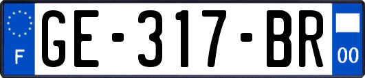 GE-317-BR
