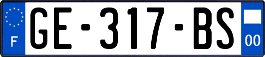 GE-317-BS