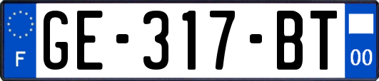 GE-317-BT