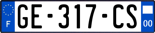 GE-317-CS
