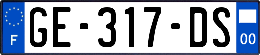 GE-317-DS