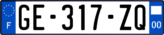 GE-317-ZQ