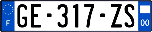 GE-317-ZS