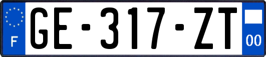 GE-317-ZT