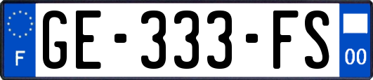 GE-333-FS