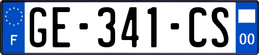 GE-341-CS