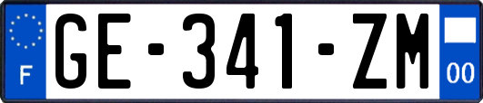 GE-341-ZM