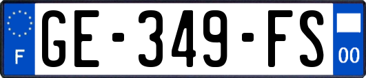 GE-349-FS