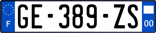 GE-389-ZS
