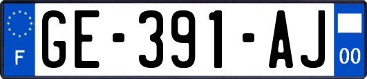 GE-391-AJ