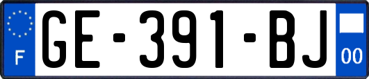 GE-391-BJ