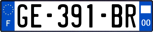 GE-391-BR