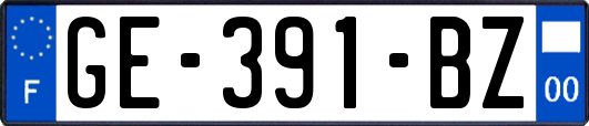 GE-391-BZ