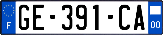GE-391-CA