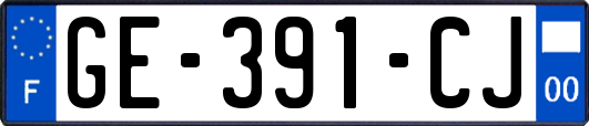GE-391-CJ