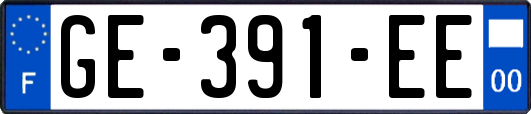 GE-391-EE