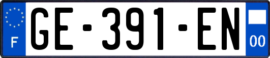 GE-391-EN