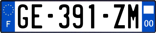GE-391-ZM