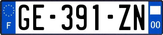 GE-391-ZN