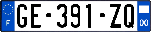 GE-391-ZQ