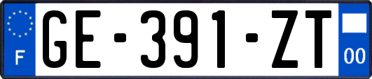 GE-391-ZT