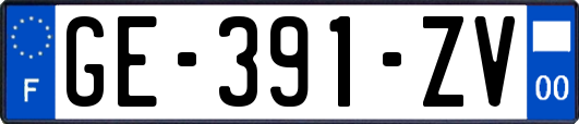 GE-391-ZV