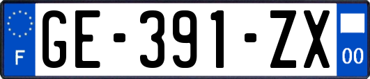 GE-391-ZX