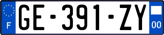 GE-391-ZY