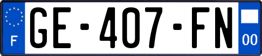 GE-407-FN