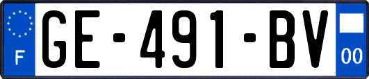 GE-491-BV