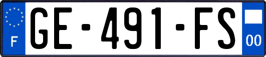 GE-491-FS