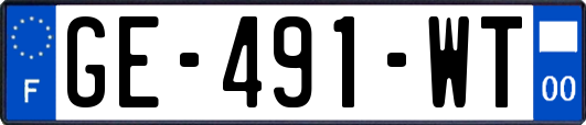 GE-491-WT