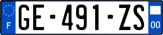 GE-491-ZS