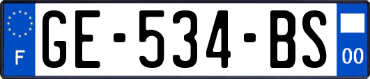 GE-534-BS