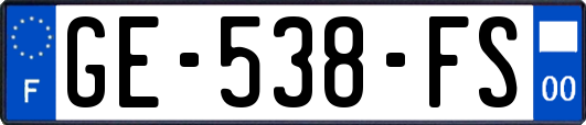 GE-538-FS