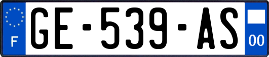 GE-539-AS