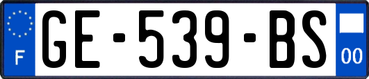 GE-539-BS