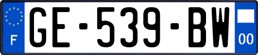 GE-539-BW