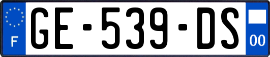 GE-539-DS