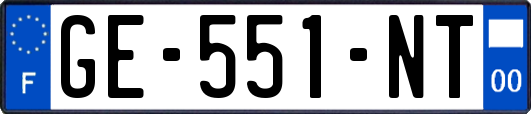 GE-551-NT